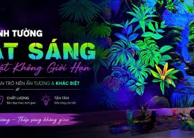 Nên chọn tranh tường hay giấy dán tường? So sánh chi phí và độ bền