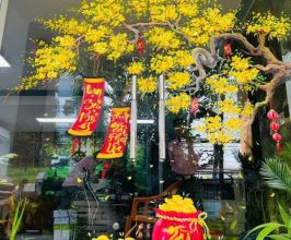 Vẽ Cửa Kính Tết Cho Cửa Hàng – Biến Mặt Tiền Thành Điểm Nhấn Thu Hút Khách Hàng