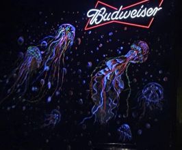 Vẽ Sứa Phát Sáng Cho Không Gian Quán Budweiser – Hiệu Ứng Đại Dương Ấn Tượng