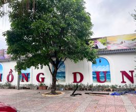 Vẽ tranh tường cho không gian tiệc cưới