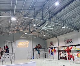 Vẽ tranh tường Muay Thai cho phòng tập