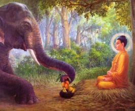 Khám Phá Cuộc Đời Đức Phật Thích Ca - Hành Trình Giác Ngộ và Từ Bi