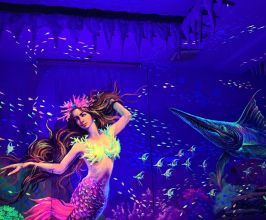 Vẽ Phòng Karaoke Phát Sáng – Chủ Đề Đáy Đại Dương 3D | Thiendecor