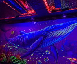  VẼ TRANH TƯỜNG PHÁT SÁNG PHÒNG KARAOKE PHONG CÁCH ĐÁY ĐẠI DƯƠNG 3D